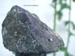 Purpurite