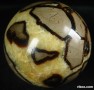 Septarian